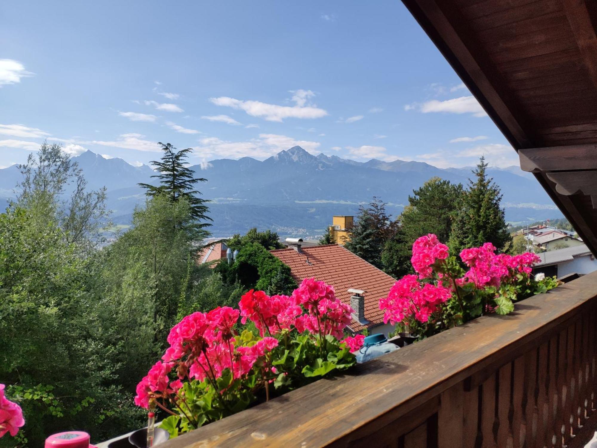 Alpendohle Appartamento *